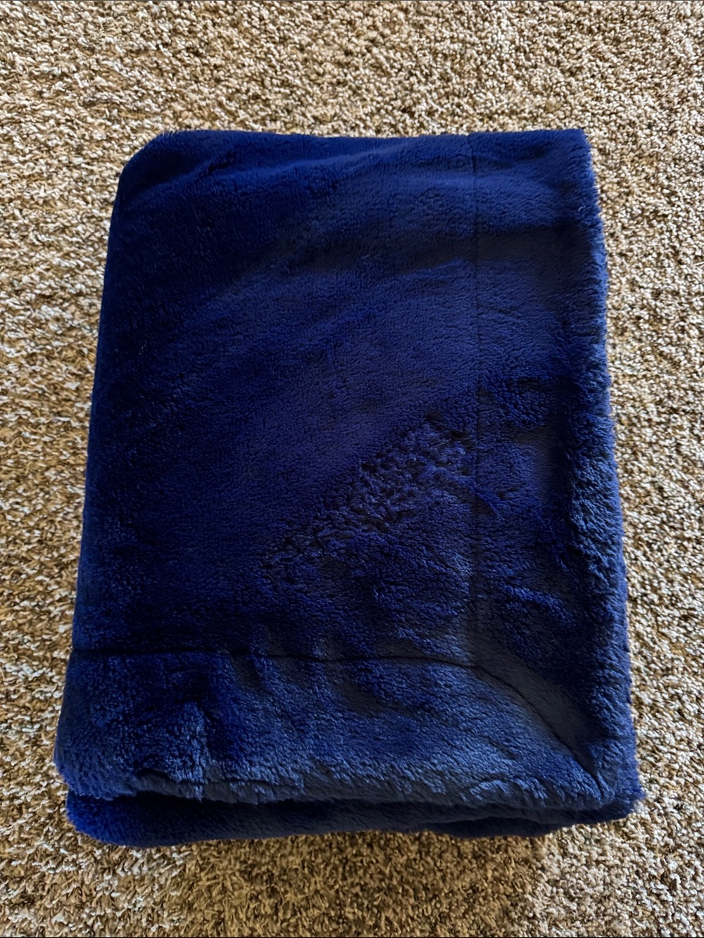 Minky Couture plush blanket